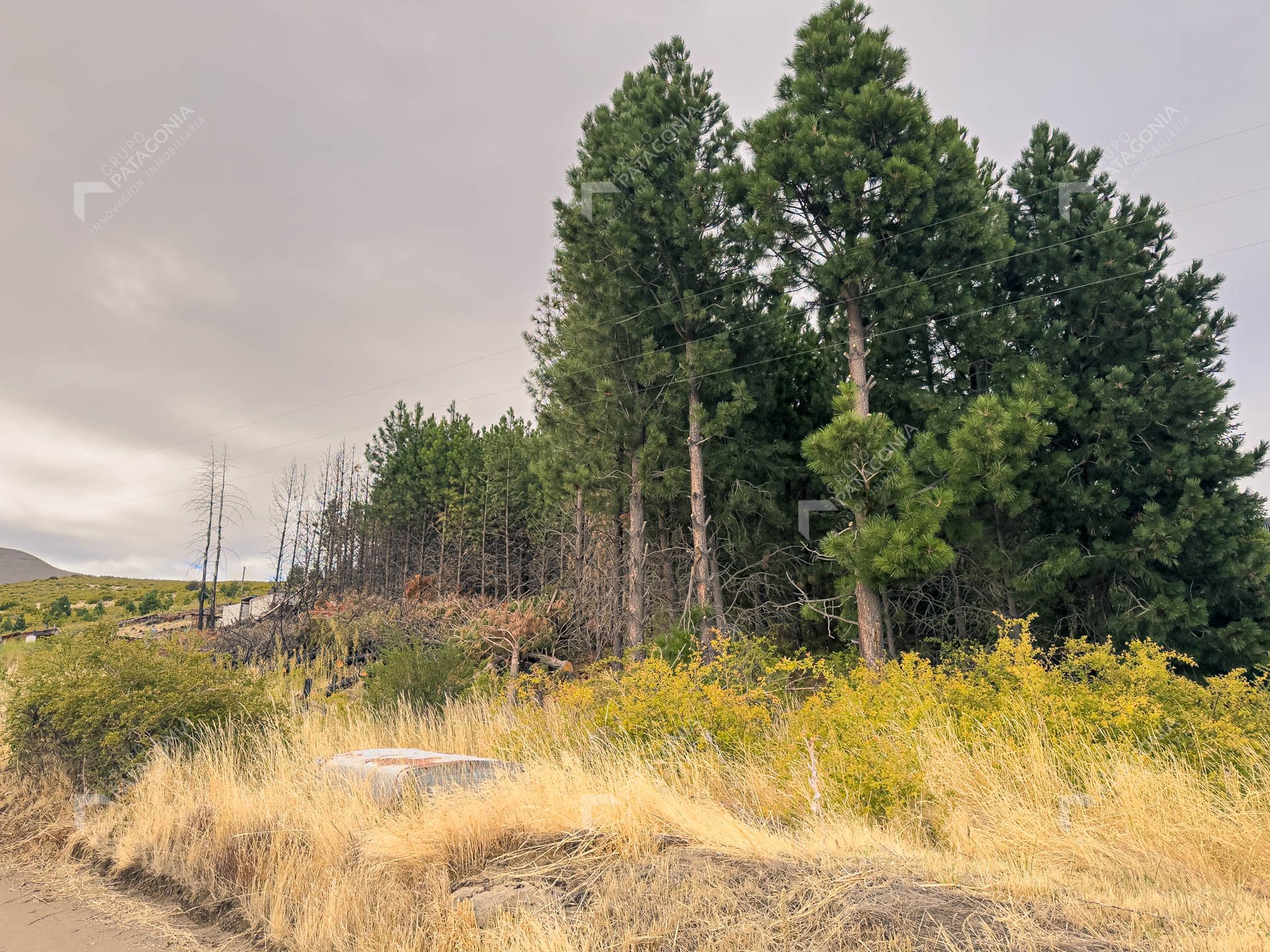 lote terreno en venta en paraje chapelco grande frente a las marias del valle san martin de los andes neuquen patagonia argentina lote terreno en venta en paraje chapelco grande frente a las marias del valle san martin de los andes neuquen patagonia argentina