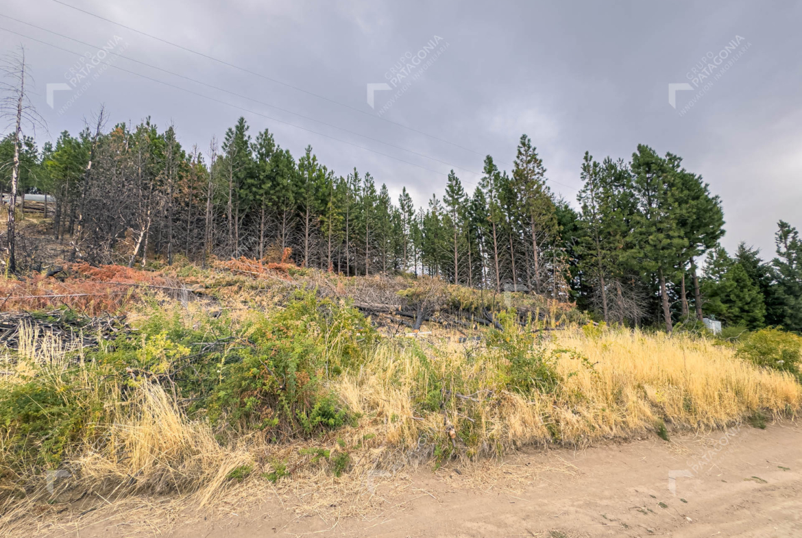 lote terreno en venta en paraje chapelco grande frente a las marias del valle san martin de los andes neuquen patagonia argentina