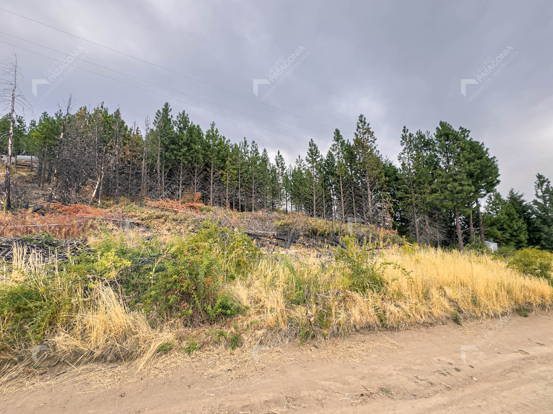 lote terreno en venta en paraje chapelco grande frente a las marias del valle san martin de los andes neuquen patagonia argentina lote terreno en venta en paraje chapelco grande frente a las marias del valle san martin de los andes neuquen patagonia argentina