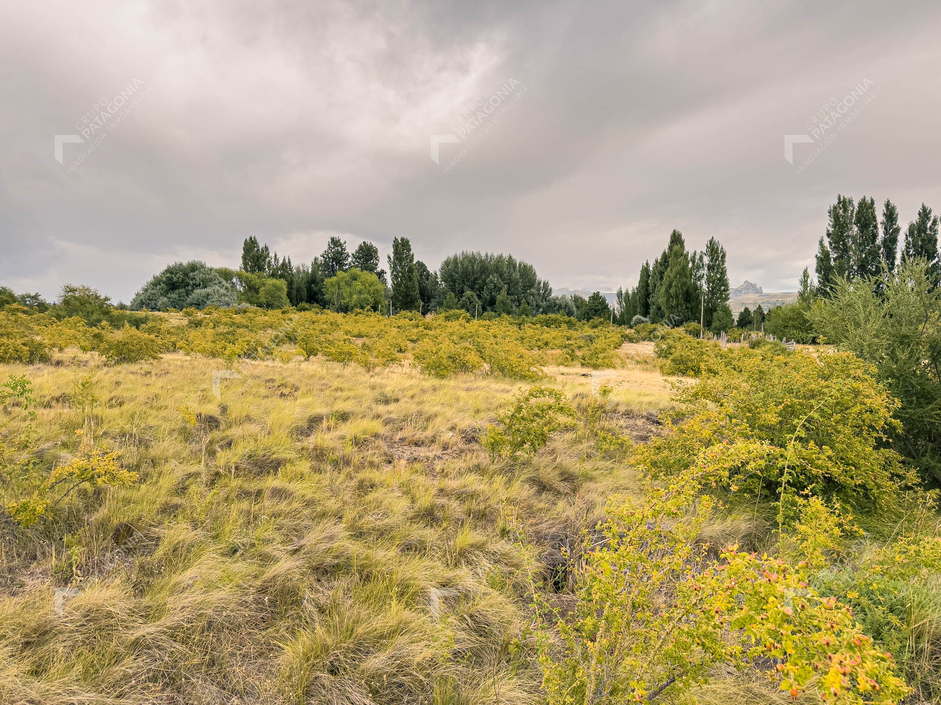 fraccion de 1.5 hectareas en venta en paraje chapelco grande frente a las marias del valle san martin de los andes neuquen patagonia argentina fraccion de 1.5 hectareas en venta en paraje chapelco grande frente a las marias del valle san martin de los andes neuquen patagonia argentina