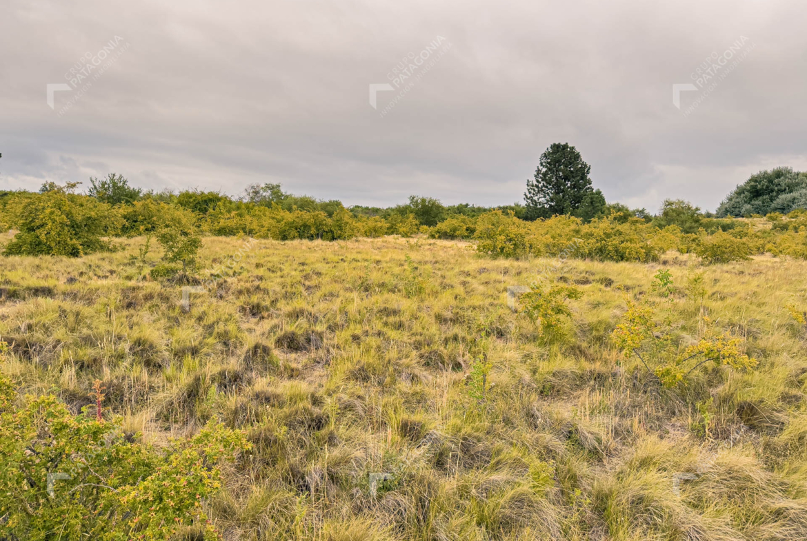 fraccion de 1.5 hectareas en venta en paraje chapelco grande frente a las marias del valle san martin de los andes neuquen patagonia argentina