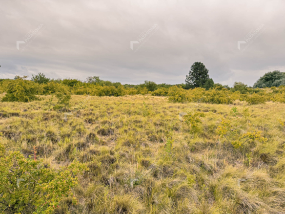fraccion de 1.5 hectareas en venta en paraje chapelco grande frente a las marias del valle san martin de los andes neuquen patagonia argentina