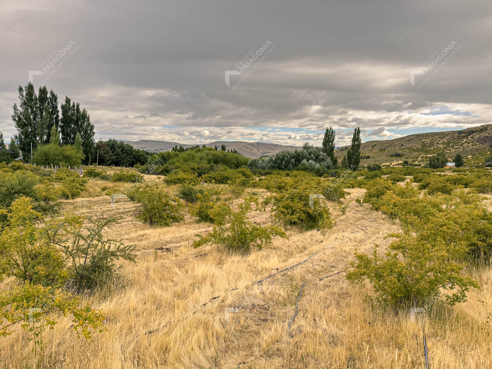 fraccion de 1.5 hectareas en venta en paraje chapelco grande frente a las marias del valle san martin de los andes neuquen patagonia argentina fraccion de 1.5 hectareas en venta en paraje chapelco grande frente a las marias del valle san martin de los andes neuquen patagonia argentina