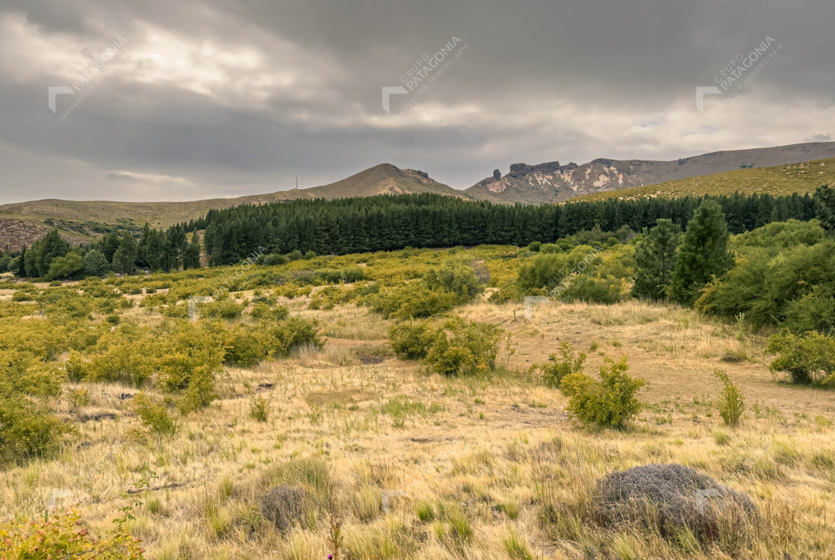 fraccion de 1.5 hectareas en venta en paraje chapelco grande frente a las marias del valle san martin de los andes neuquen patagonia argentina