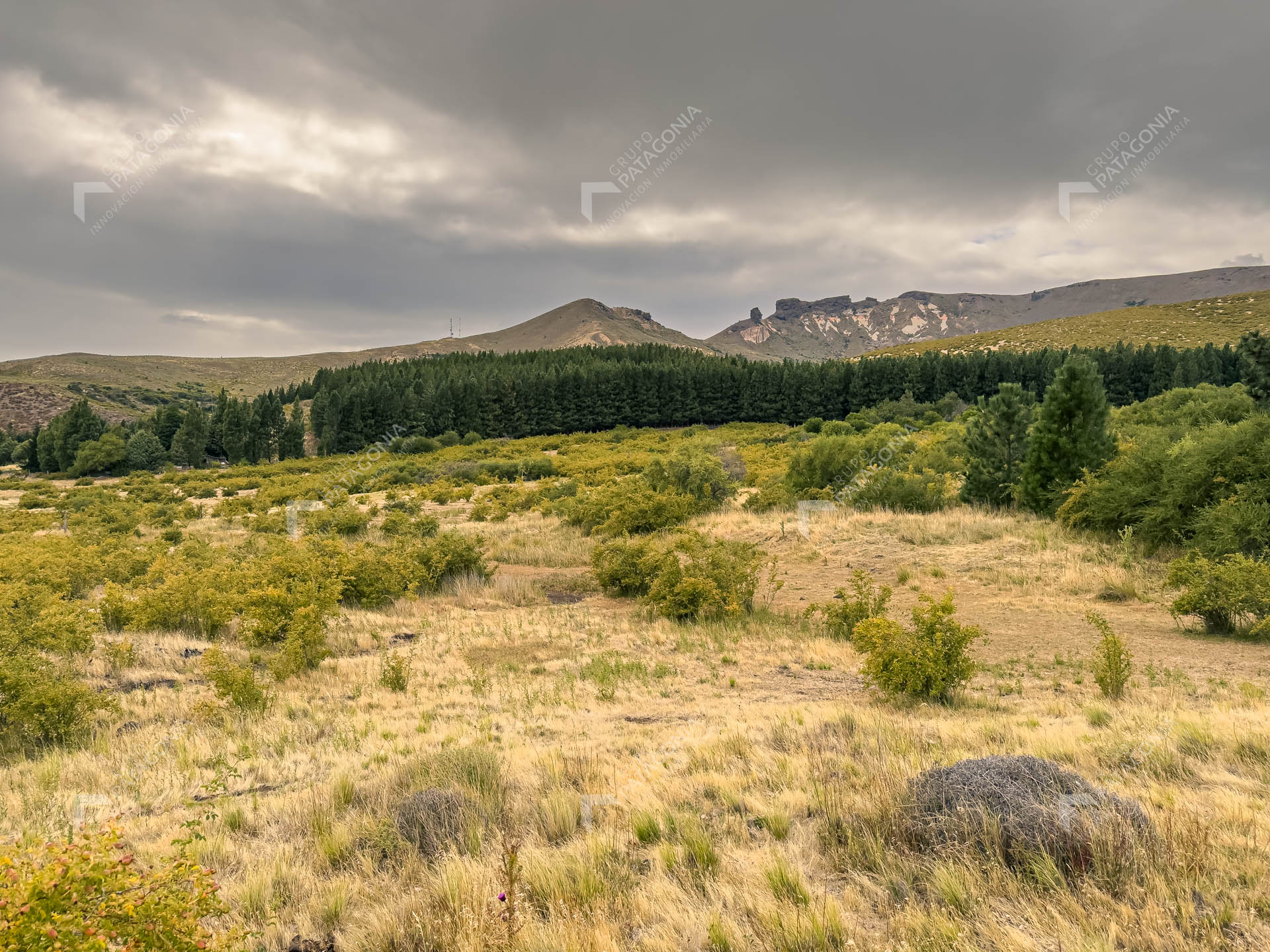 fraccion de 1.5 hectareas en venta en paraje chapelco grande frente a las marias del valle san martin de los andes neuquen patagonia argentina fraccion de 1.5 hectareas en venta en paraje chapelco grande frente a las marias del valle san martin de los andes neuquen patagonia argentina