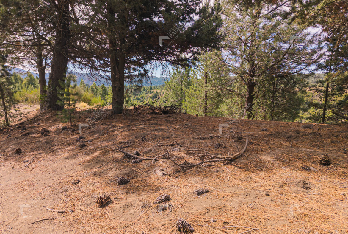 lote terreno en venta en el desarrollo inmobiliario postal patagonia san martin de los andes neuquen patagonia argentina