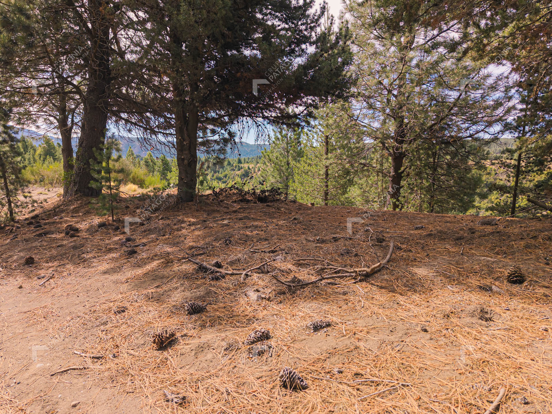 lote terreno en venta en el desarrollo inmobiliario postal patagonia san martin de los andes neuquen patagonia argentina