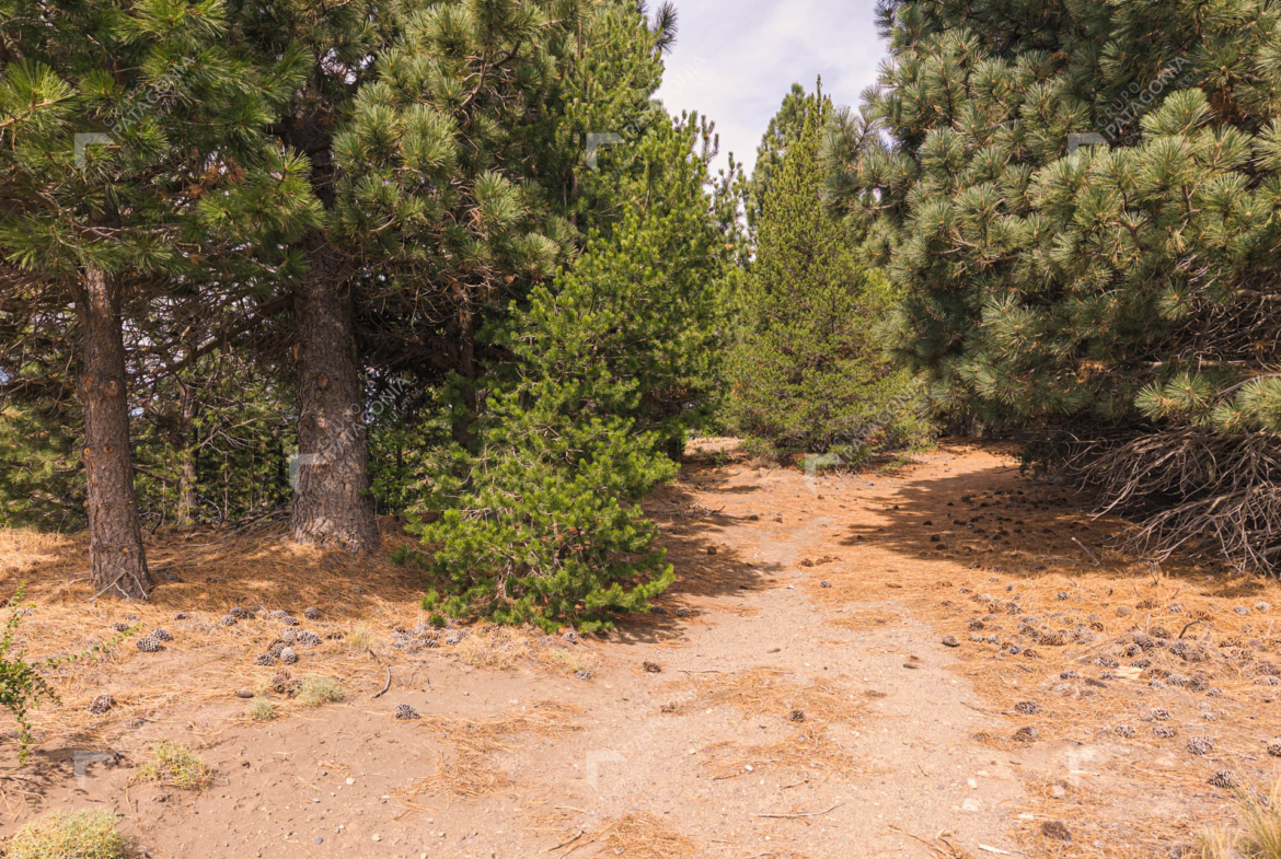 lote terreno en venta en el desarrollo inmobiliario postal patagonia san martin de los andes neuquen patagonia argentina