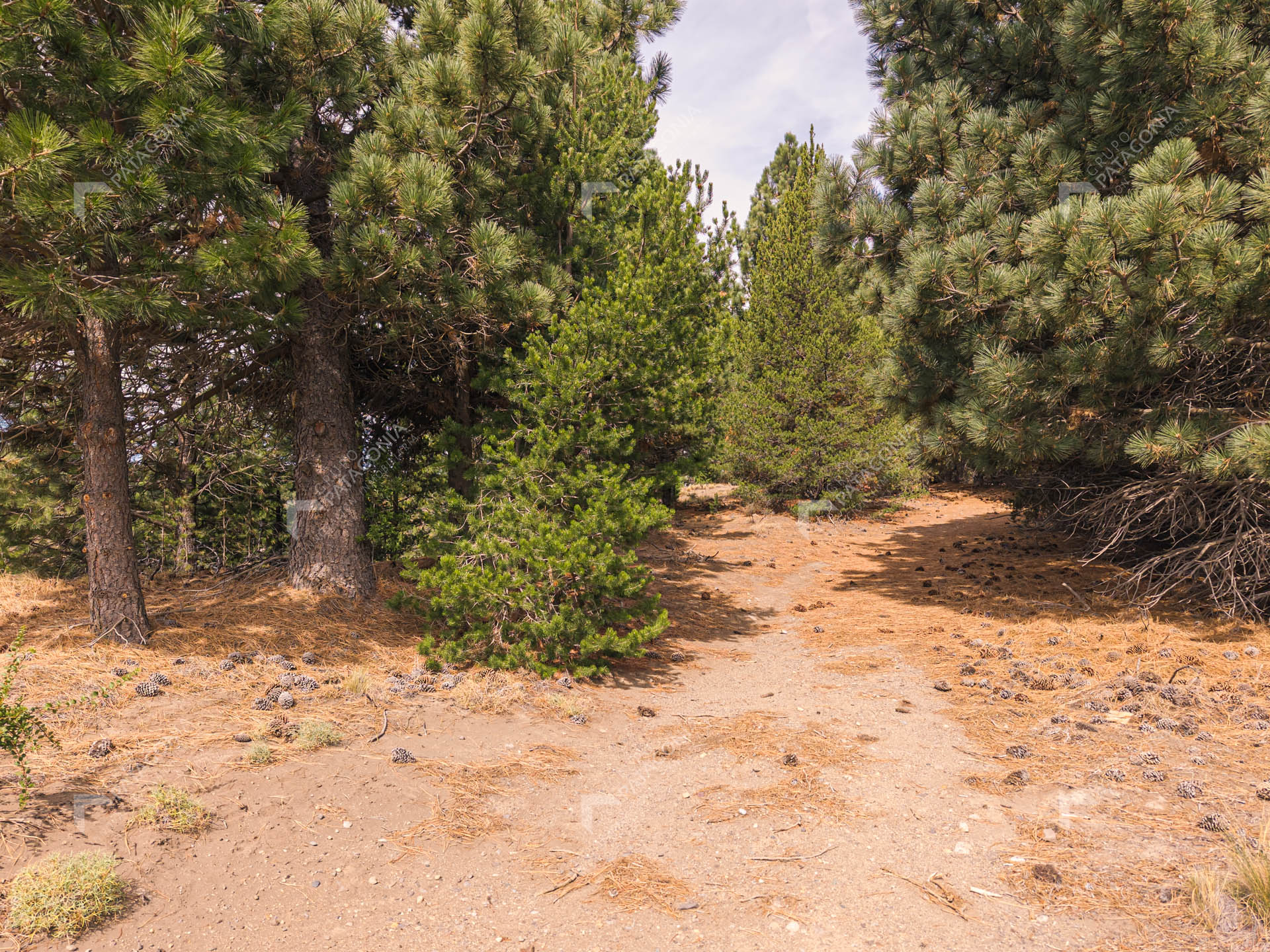 lote terreno en venta en el desarrollo inmobiliario postal patagonia san martin de los andes neuquen patagonia argentina