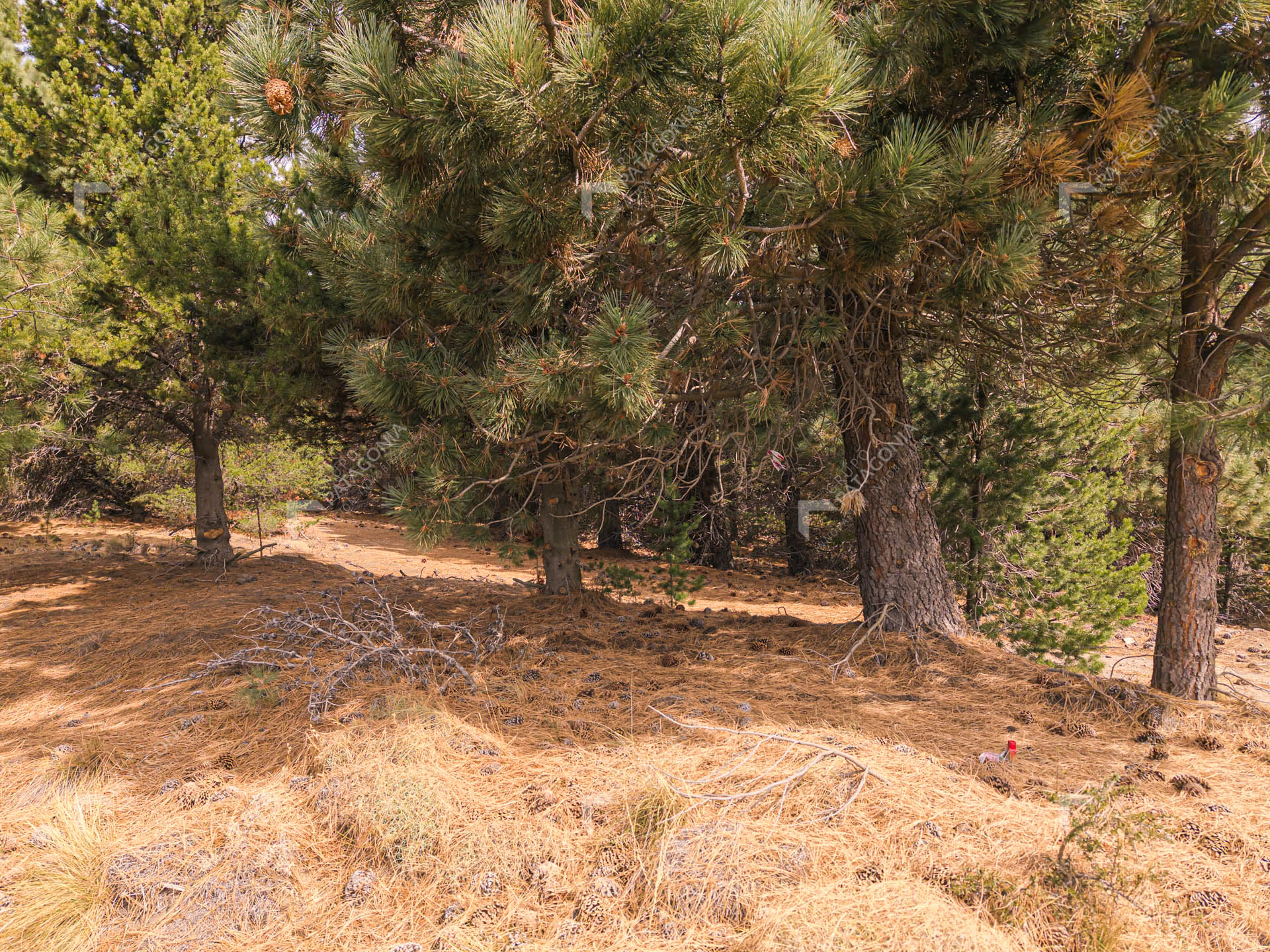 lote terreno en venta en el desarrollo inmobiliario postal patagonia san martin de los andes neuquen patagonia argentina