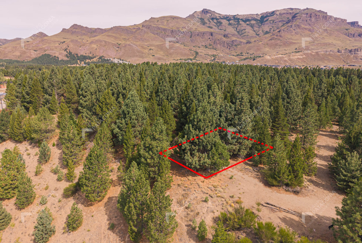 lote terreno en venta en el desarrollo inmobiliario postal patagonia san martin de los andes neuquen patagonia argentina