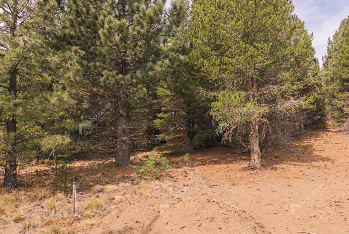 lote terreno en venta en el desarrollo inmobiliario postal patagonia san martin de los andes neuquen patagonia argentina
