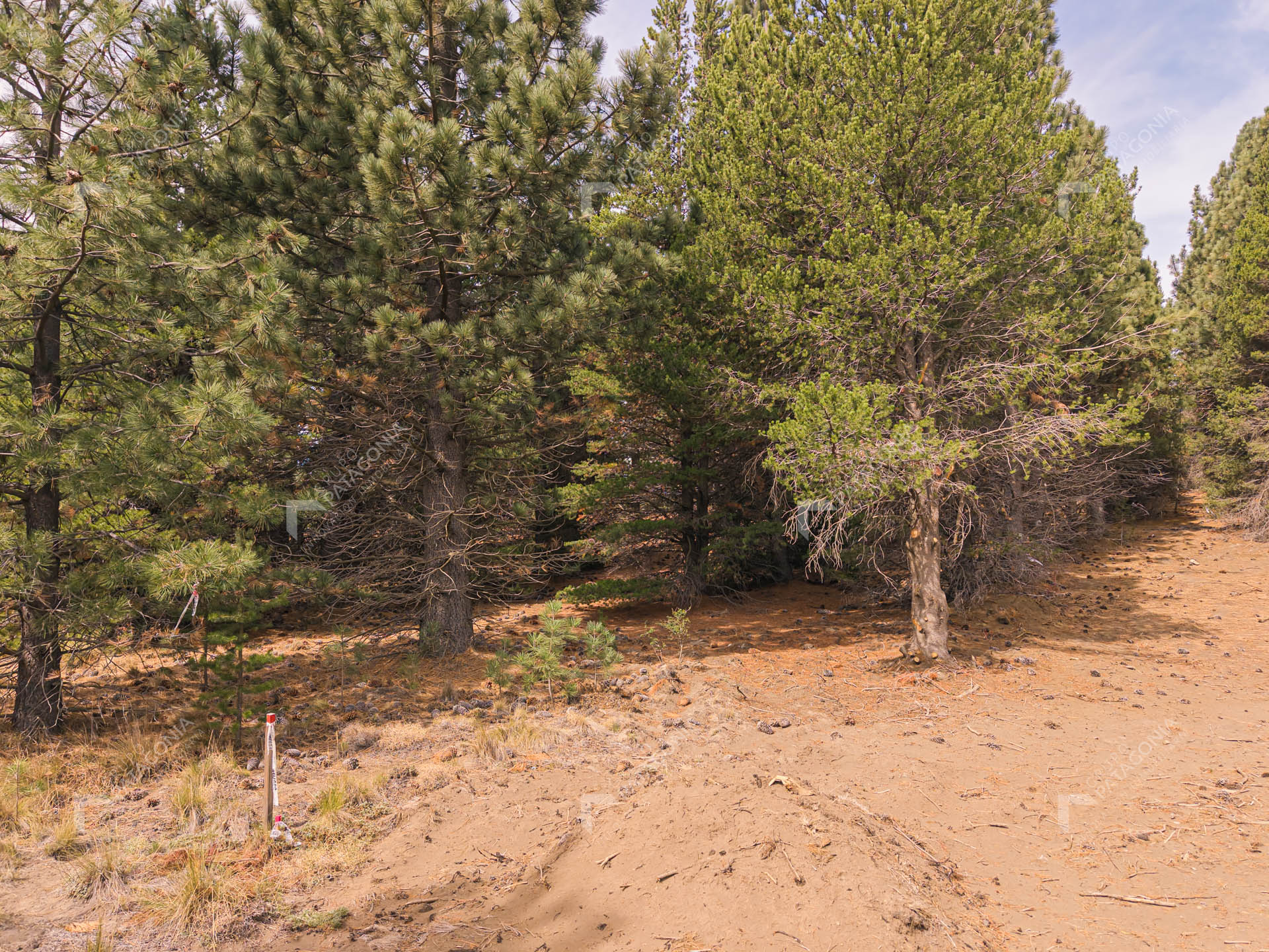 lote terreno en venta en el desarrollo inmobiliario postal patagonia san martin de los andes neuquen patagonia argentina