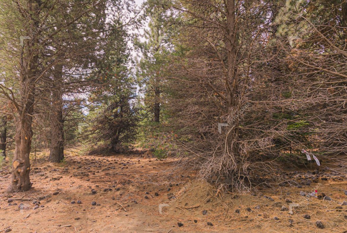 lote terreno en venta en el desarrollo inmobiliario postal patagonia san martin de los andes neuquen patagonia argentina