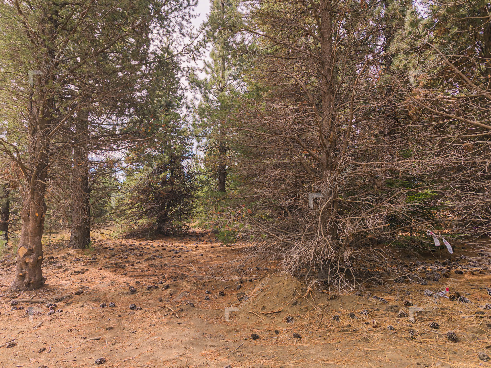 lote terreno en venta en el desarrollo inmobiliario postal patagonia san martin de los andes neuquen patagonia argentina