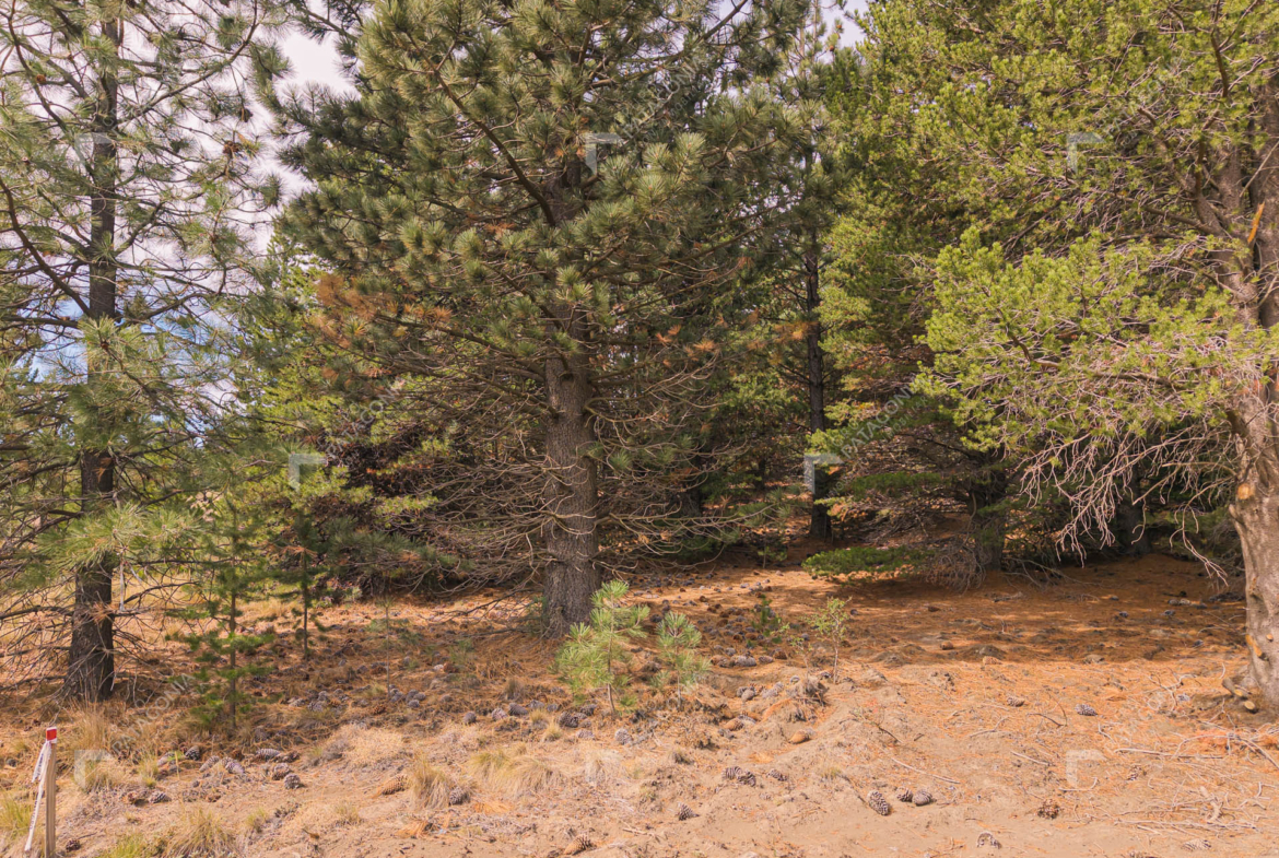 lote terreno en venta en el desarrollo inmobiliario postal patagonia san martin de los andes neuquen patagonia argentina