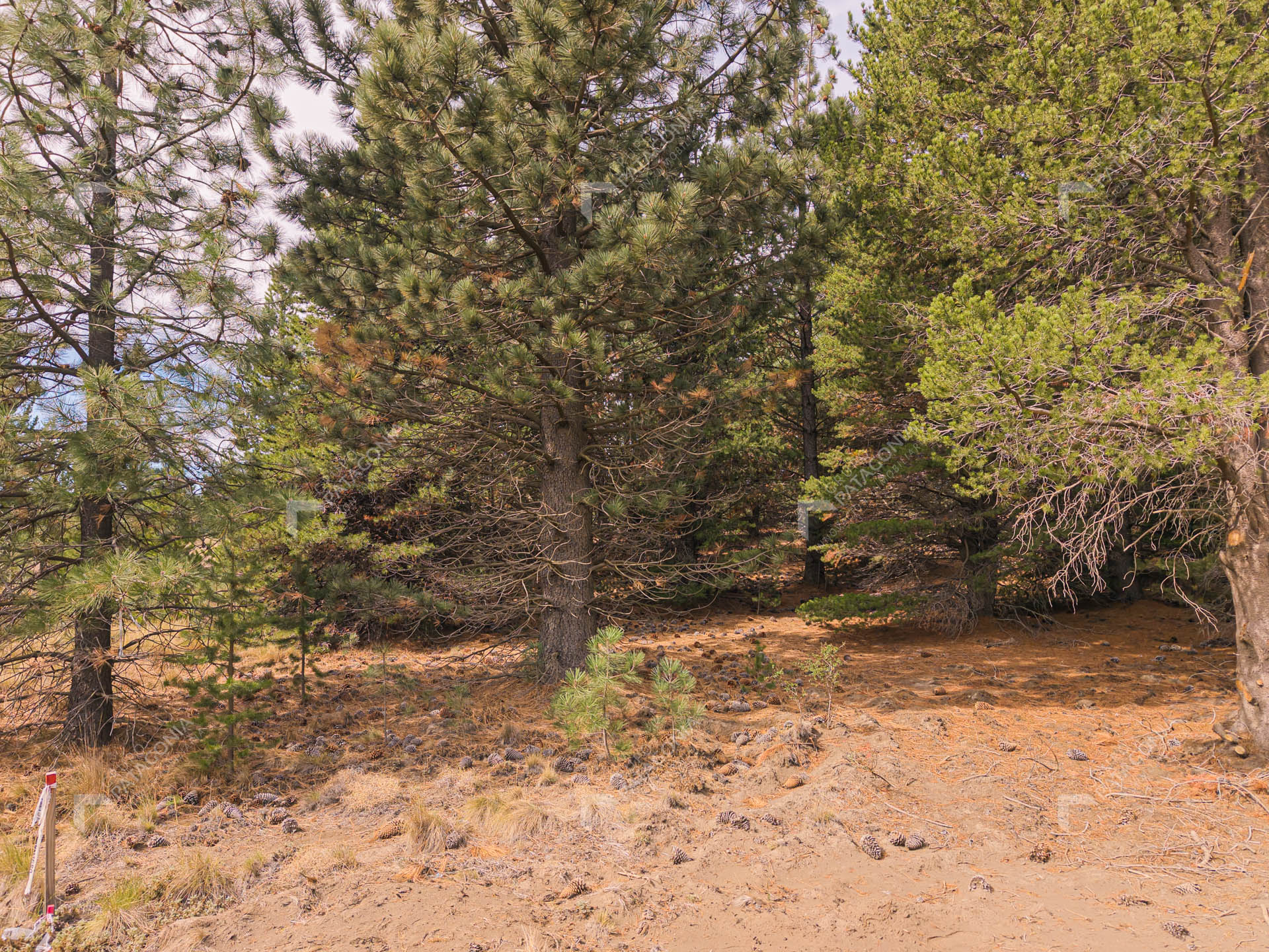 lote terreno en venta en el desarrollo inmobiliario postal patagonia san martin de los andes neuquen patagonia argentina