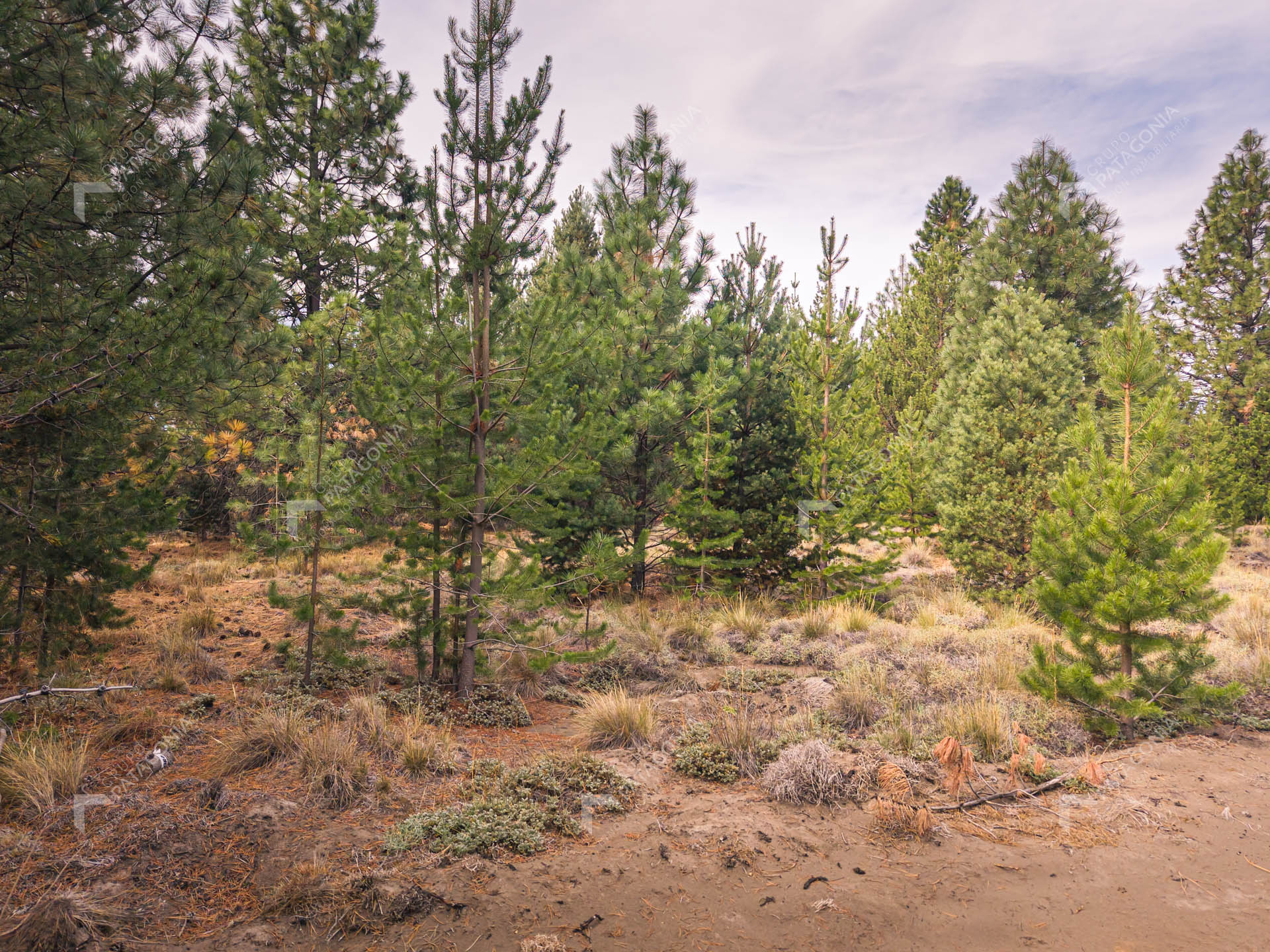 lote terreno en venta en desarrollo inmobiliario el postal san martin de los andes neuquen patagonia argentina