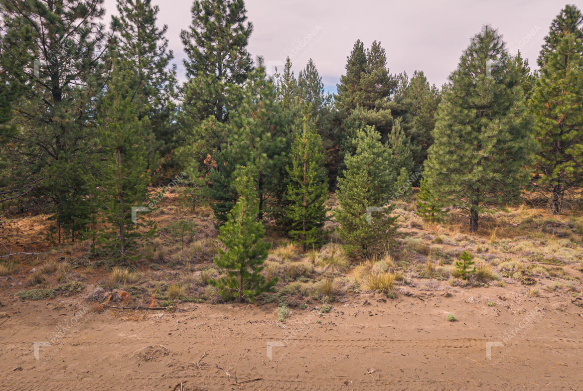 lote terreno en venta en desarrollo inmobiliario el postal san martin de los andes neuquen patagonia argentina