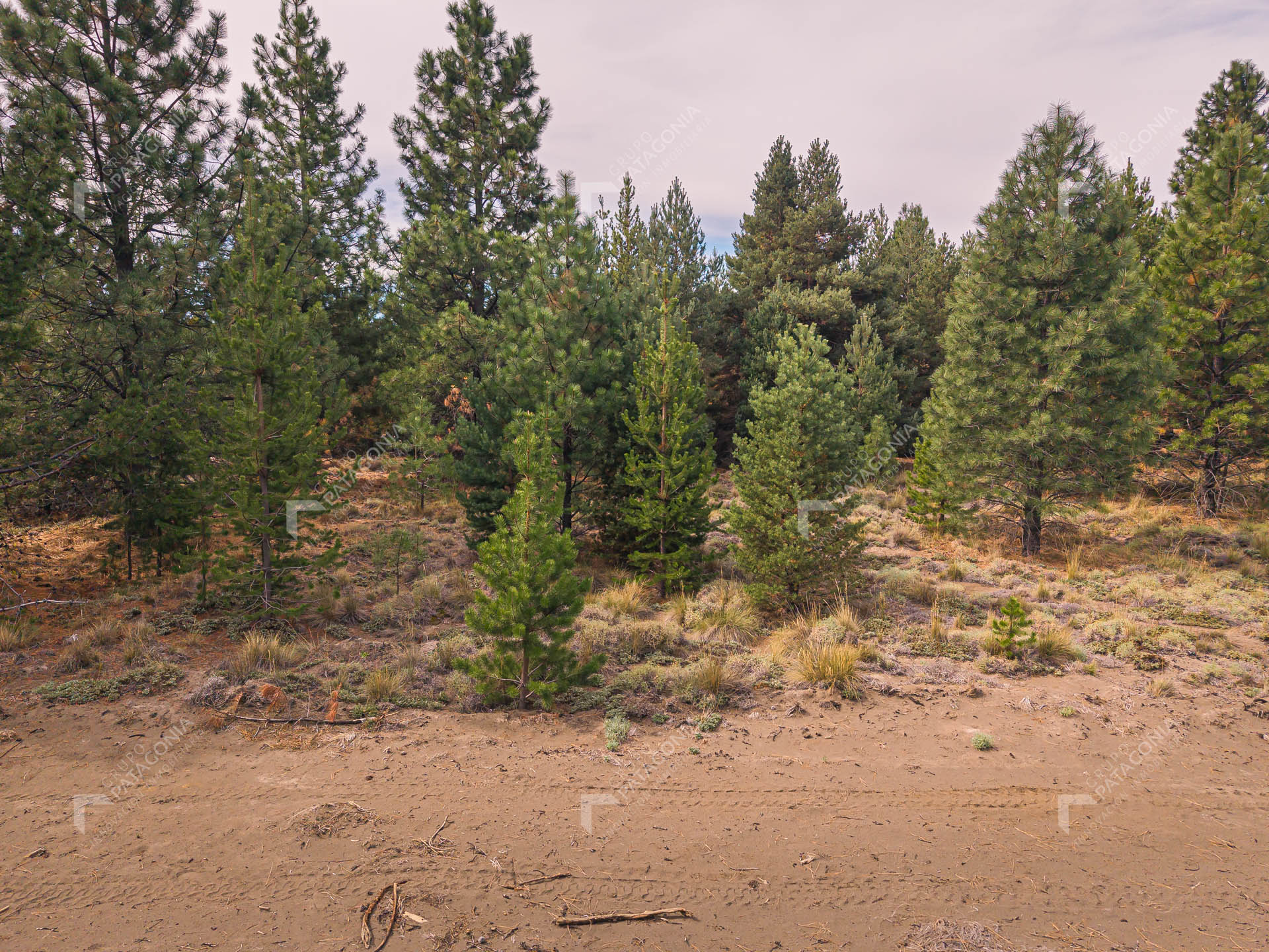 lote terreno en venta en desarrollo inmobiliario el postal san martin de los andes neuquen patagonia argentina