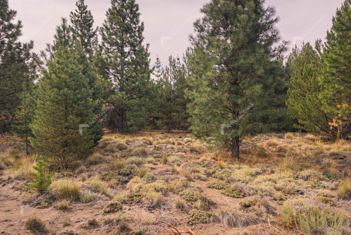 lote terreno en venta en desarrollo inmobiliario el postal san martin de los andes neuquen patagonia argentina