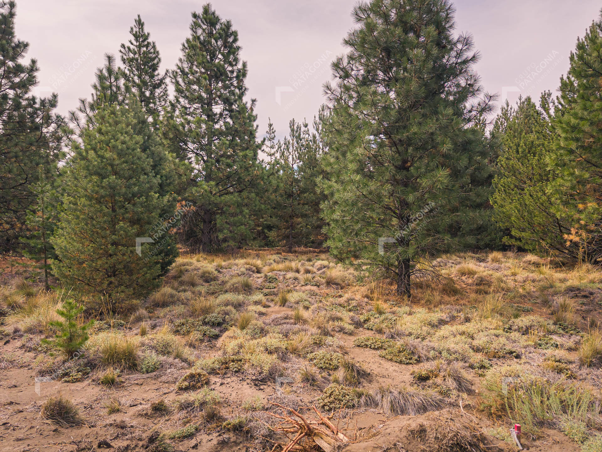 lote terreno en venta en desarrollo inmobiliario el postal san martin de los andes neuquen patagonia argentina