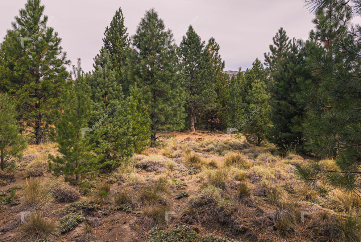 lote terreno en venta en desarrollo inmobiliario el postal san martin de los andes neuquen patagonia argentina