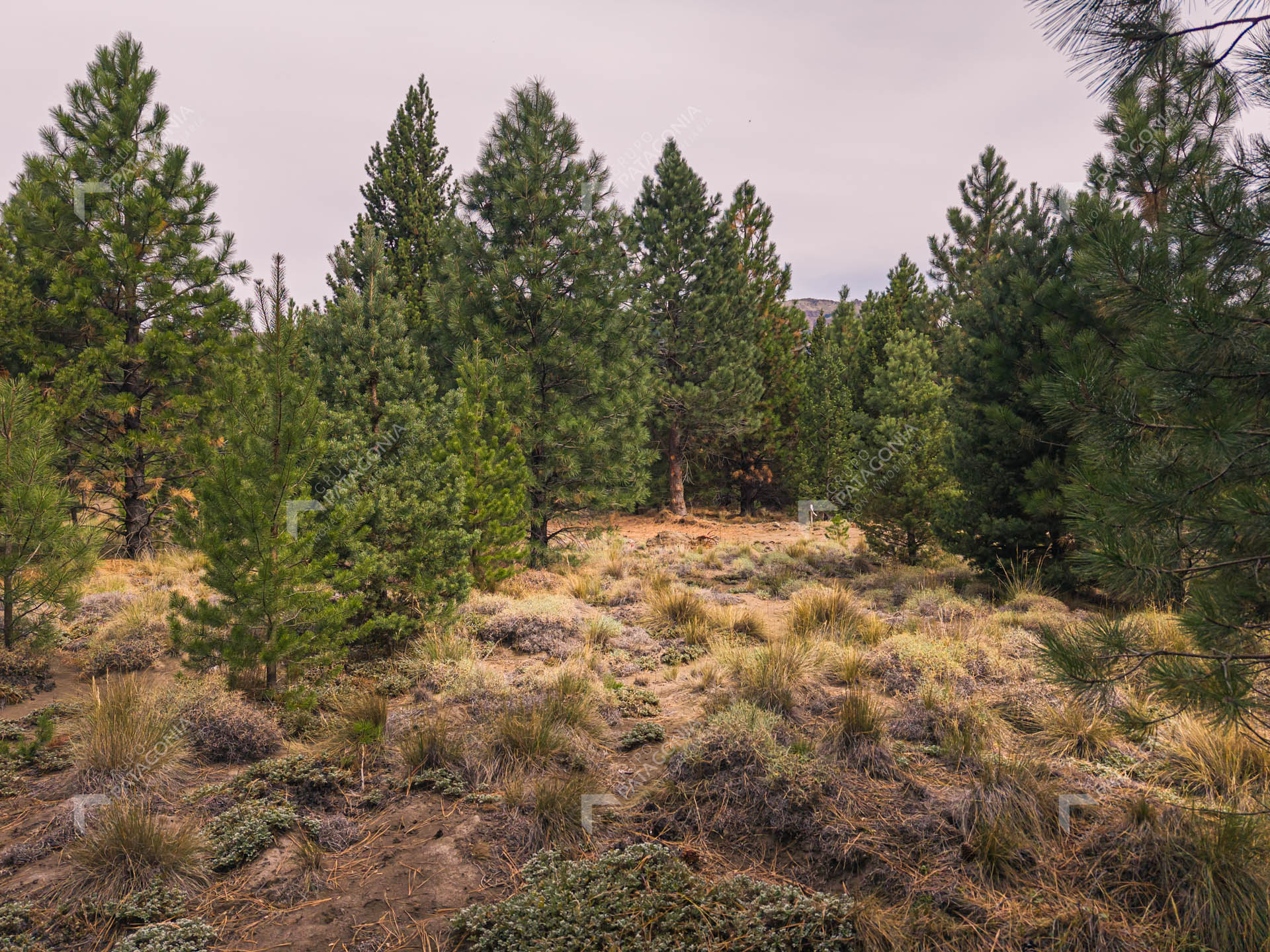 lote terreno en venta en desarrollo inmobiliario el postal san martin de los andes neuquen patagonia argentina