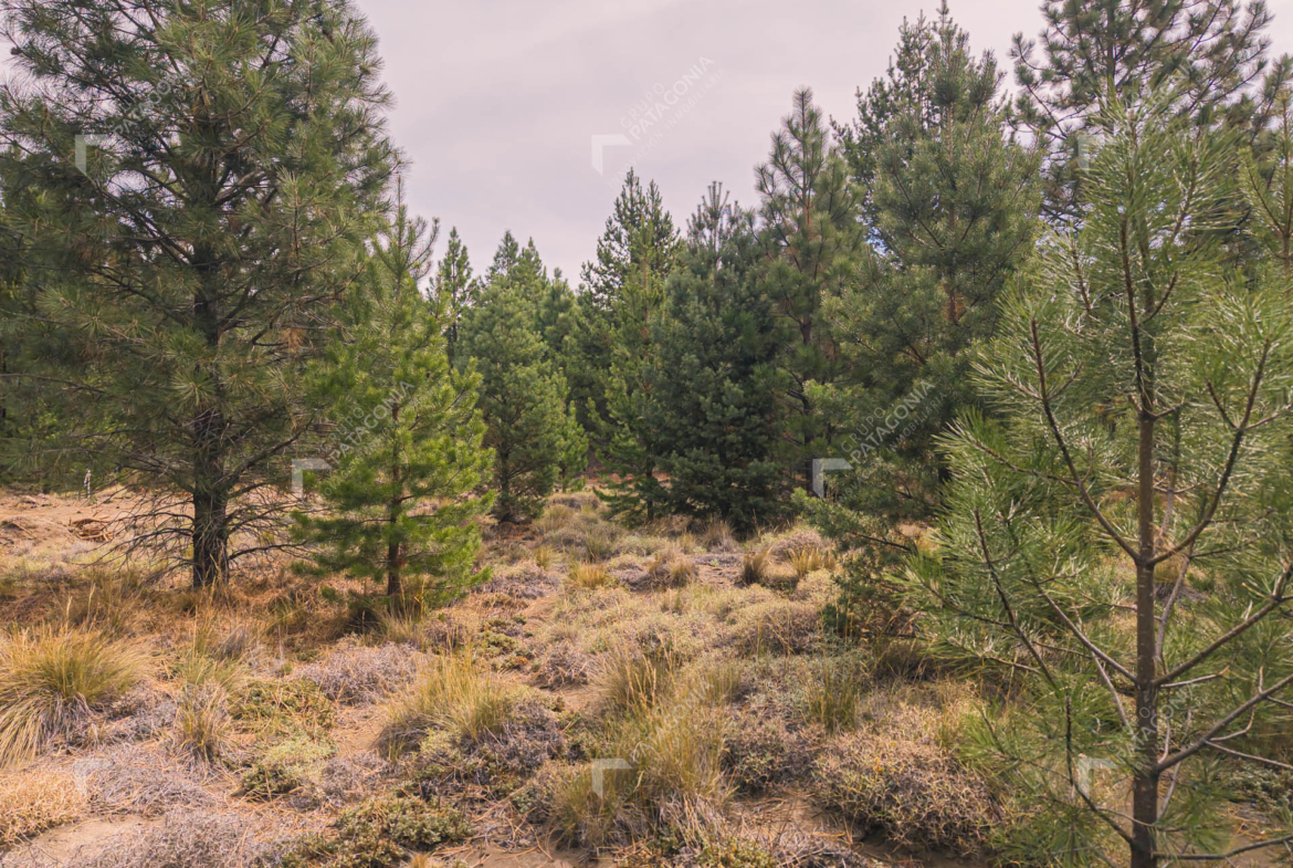 lote terreno en venta en desarrollo inmobiliario el postal san martin de los andes neuquen patagonia argentina