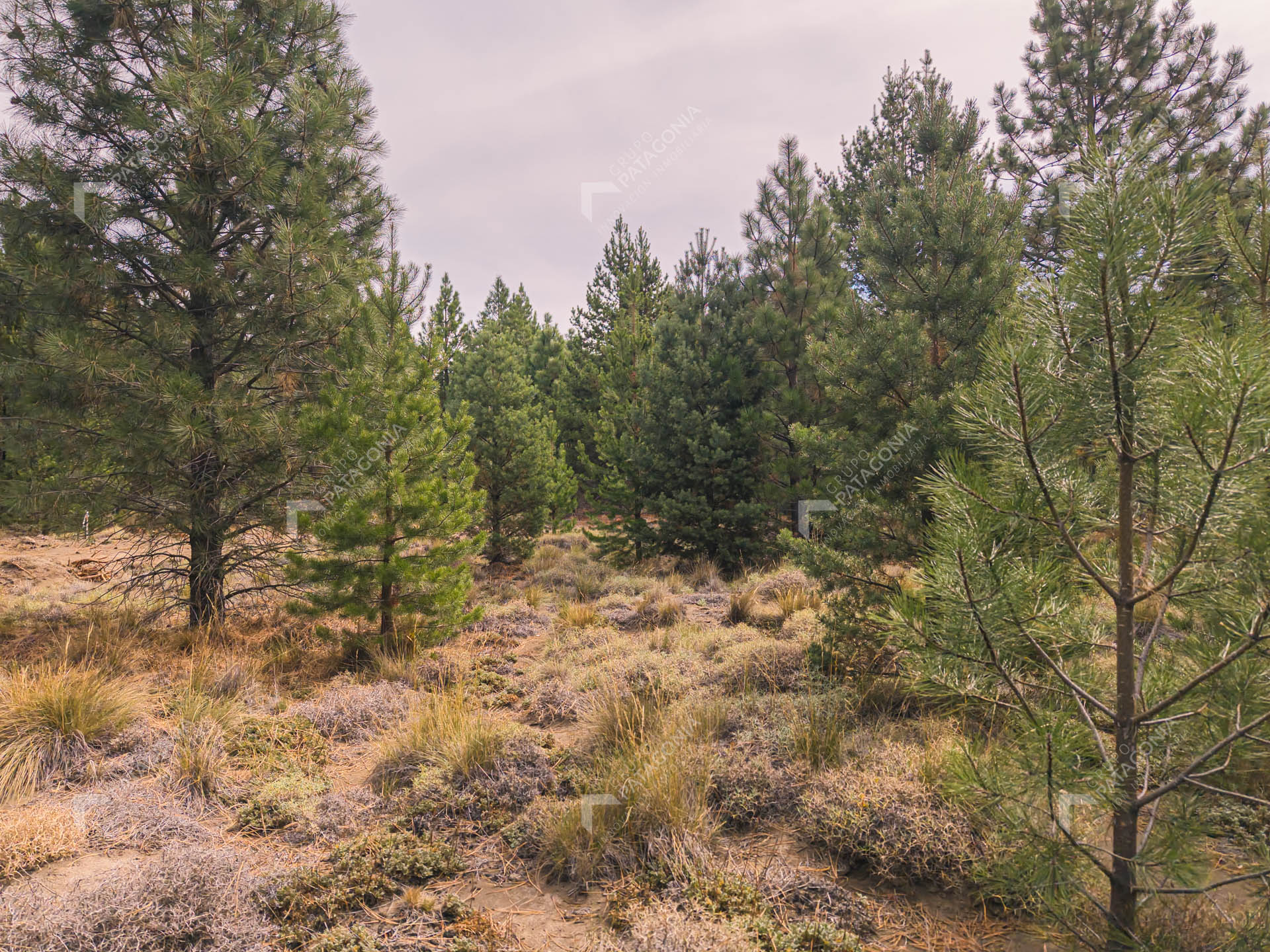 lote terreno en venta en desarrollo inmobiliario el postal san martin de los andes neuquen patagonia argentina