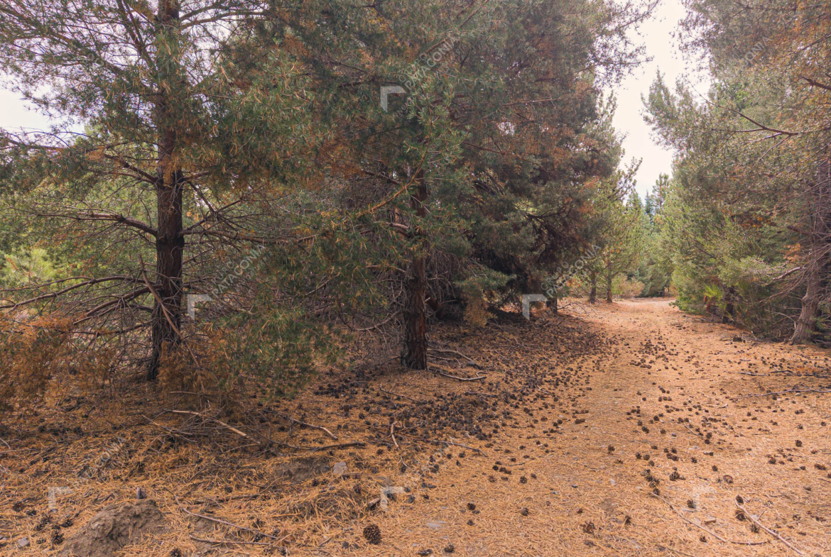lote terreno en venta en desarrollo inmobiliario el postal san martin de los andes neuquen patagonia argentina