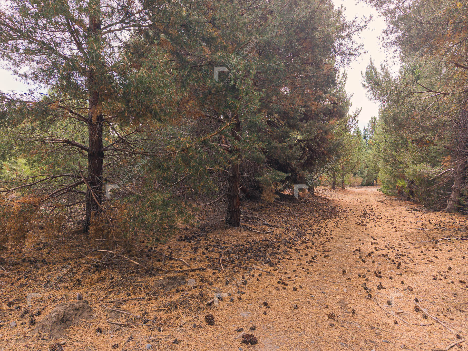 lote terreno en venta en desarrollo inmobiliario el postal san martin de los andes neuquen patagonia argentina