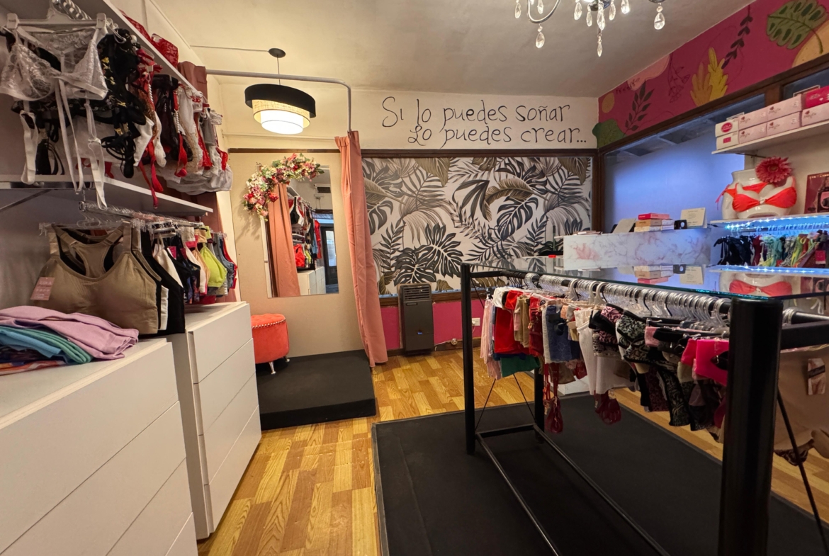 negocio fondo de comercio en venta en san martin de los andes neuquen patagonia argentina