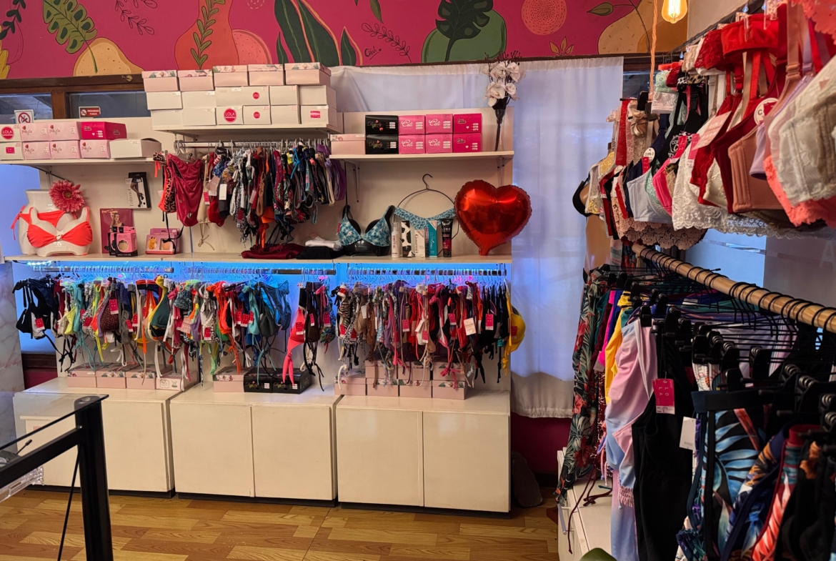 negocio fondo de comercio en venta en san martin de los andes neuquen patagonia argentina