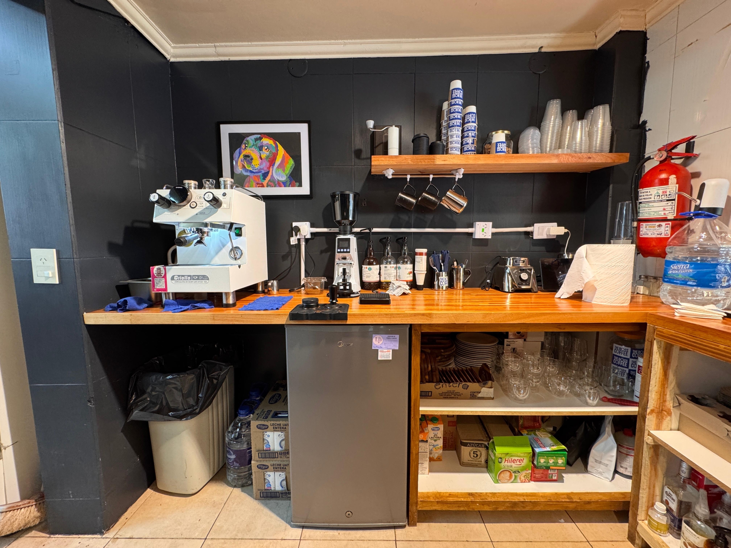 fondo de comercio negocio en venta en san martin de los andes neuquen patagonia argentina