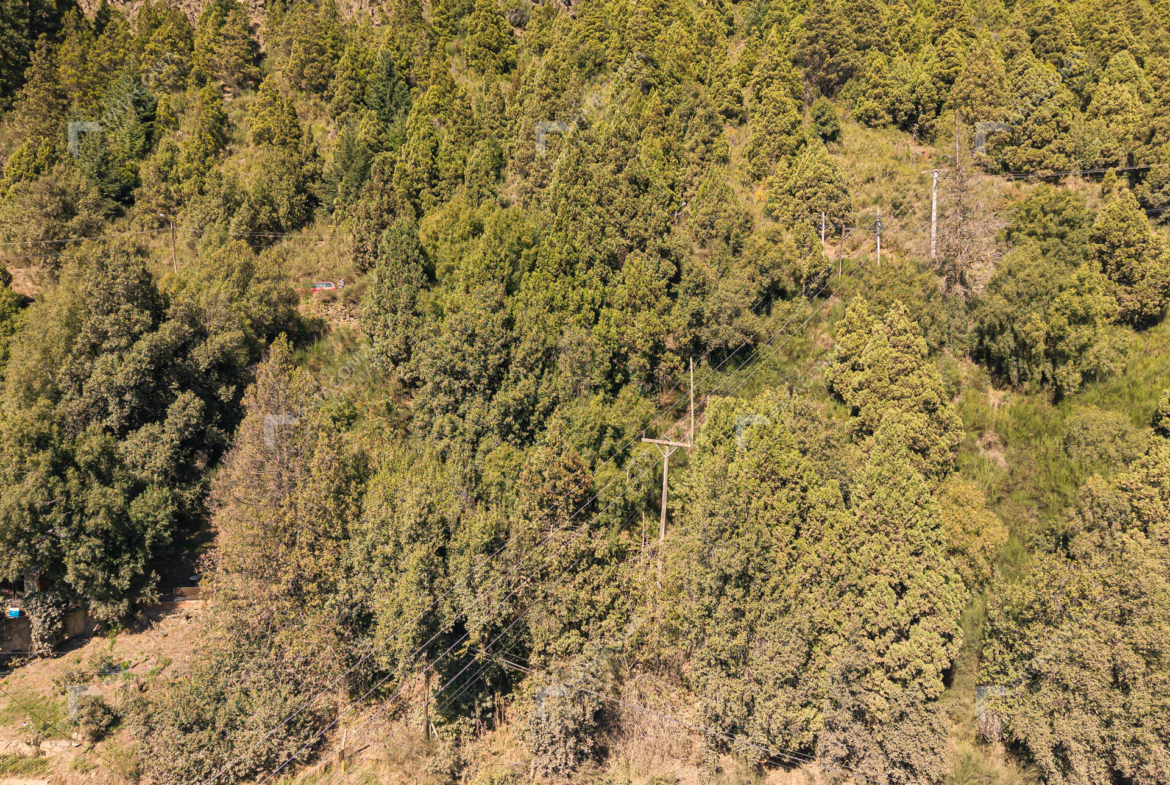 lote terreno en venta de 600 m2 a un precio imbatible en zona centro de san martin de los andes neuquen patagonia argentina