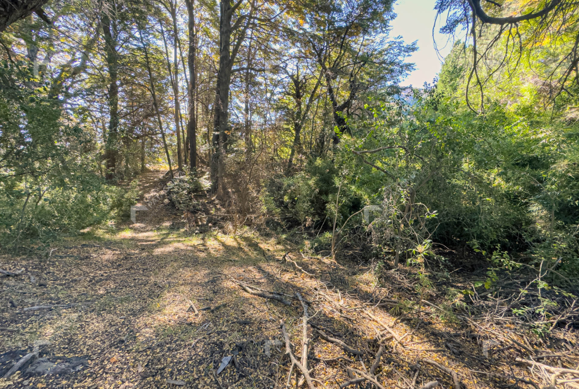 lote terreno en venta en villa lago meliquina san martin de los andes neuquen patagonia argentina