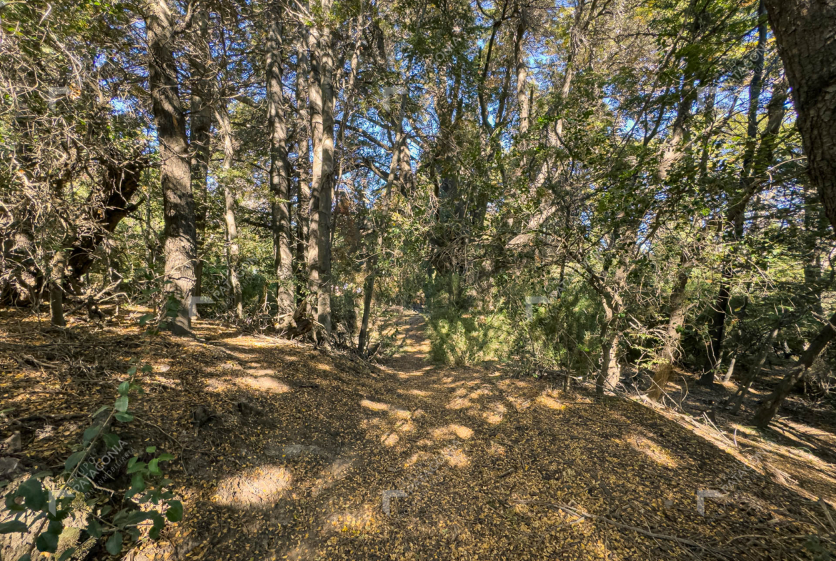 lote terreno en venta en villa lago meliquina san martin de los andes neuquen patagonia argentina