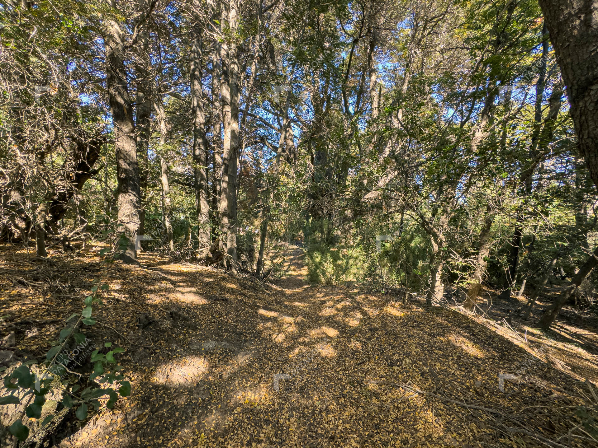 lote terreno en venta en villa lago meliquina san martin de los andes neuquen patagonia argentina