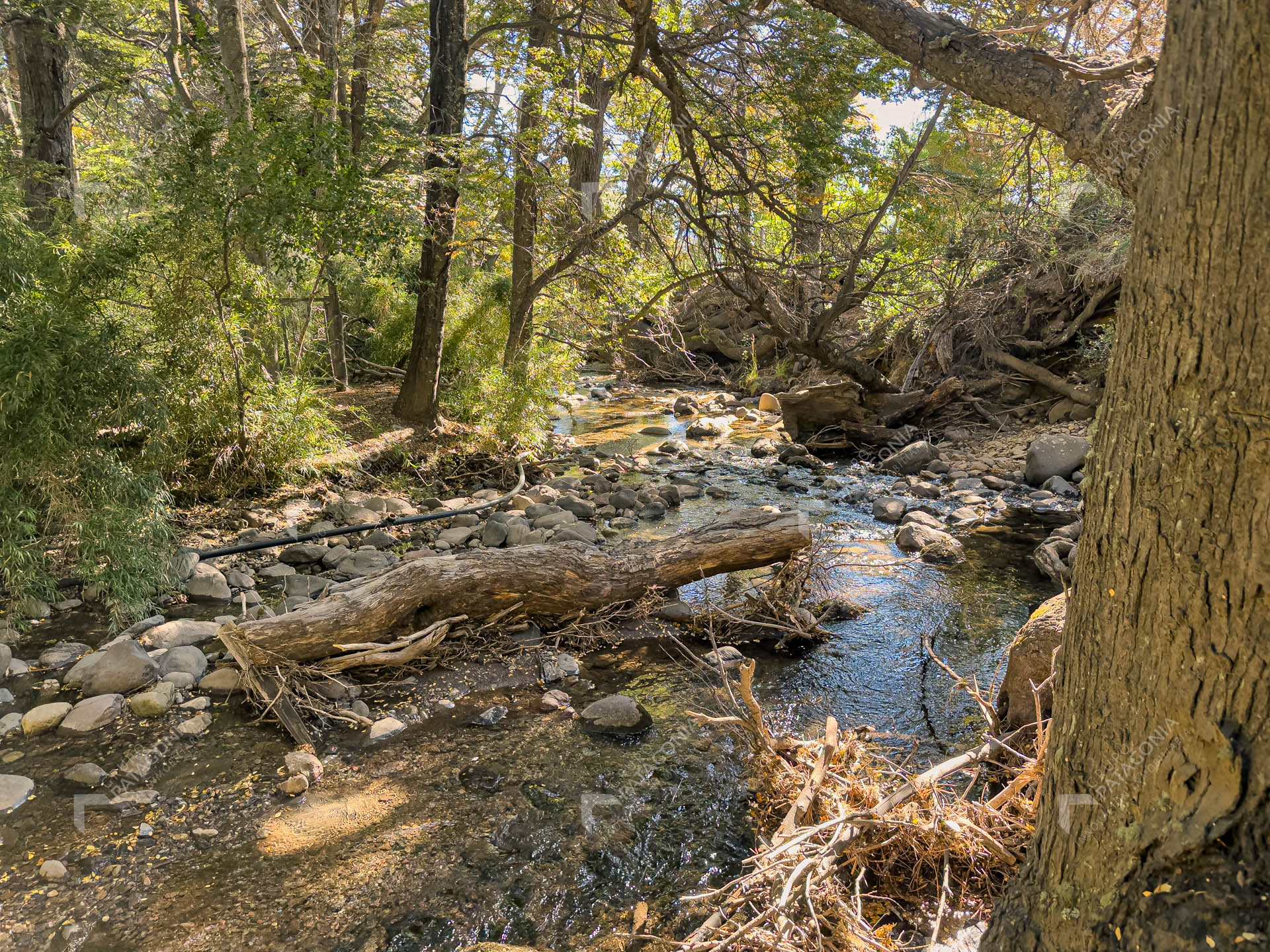 lote terreno en venta en villa lago meliquina san martin de los andes neuquen patagonia argentina