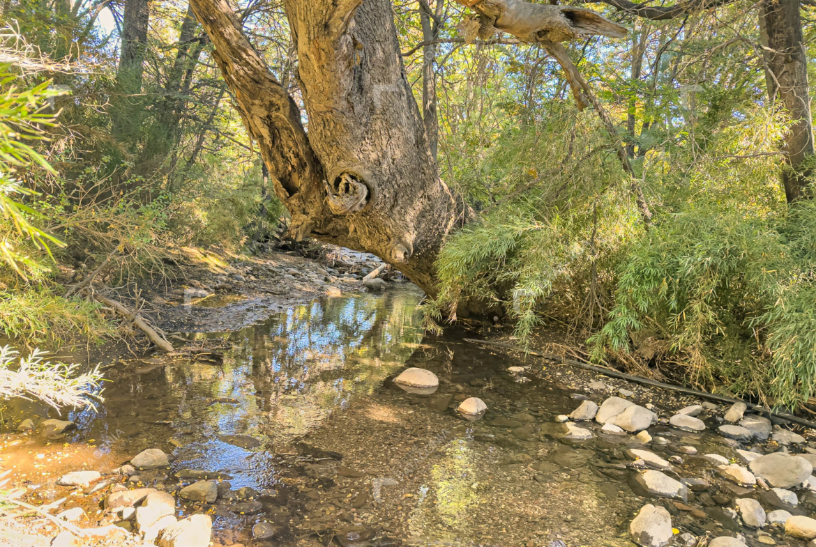 lote terreno en venta en villa lago meliquina san martin de los andes neuquen patagonia argentina