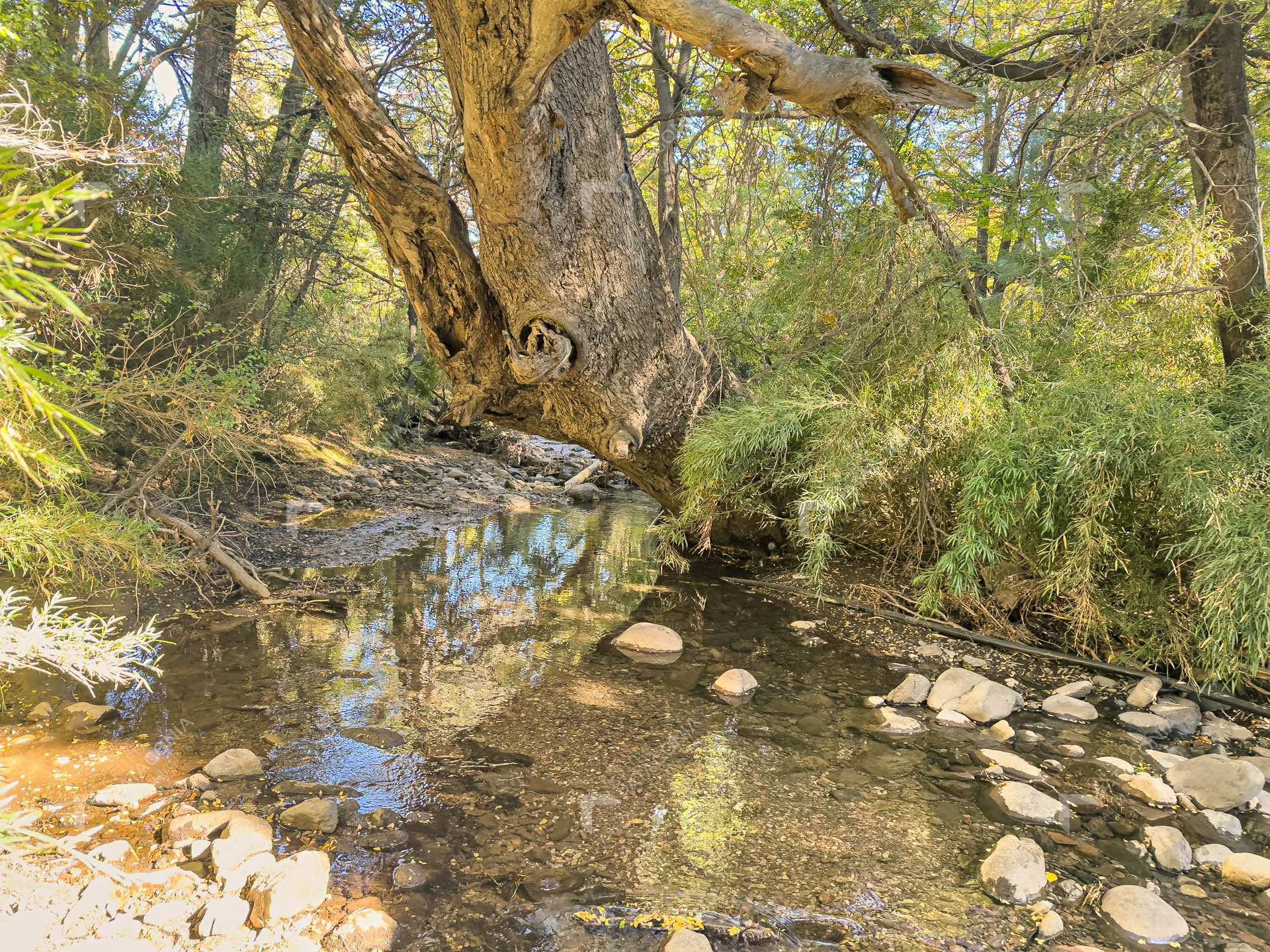 lote terreno en venta en villa lago meliquina san martin de los andes neuquen patagonia argentina