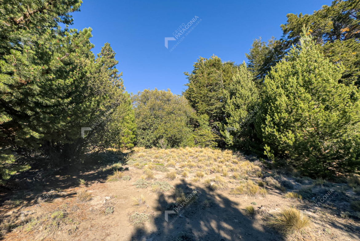 lote terreno en venta en villa lago meliquina san martin de los andes neuquen patagonia argentina