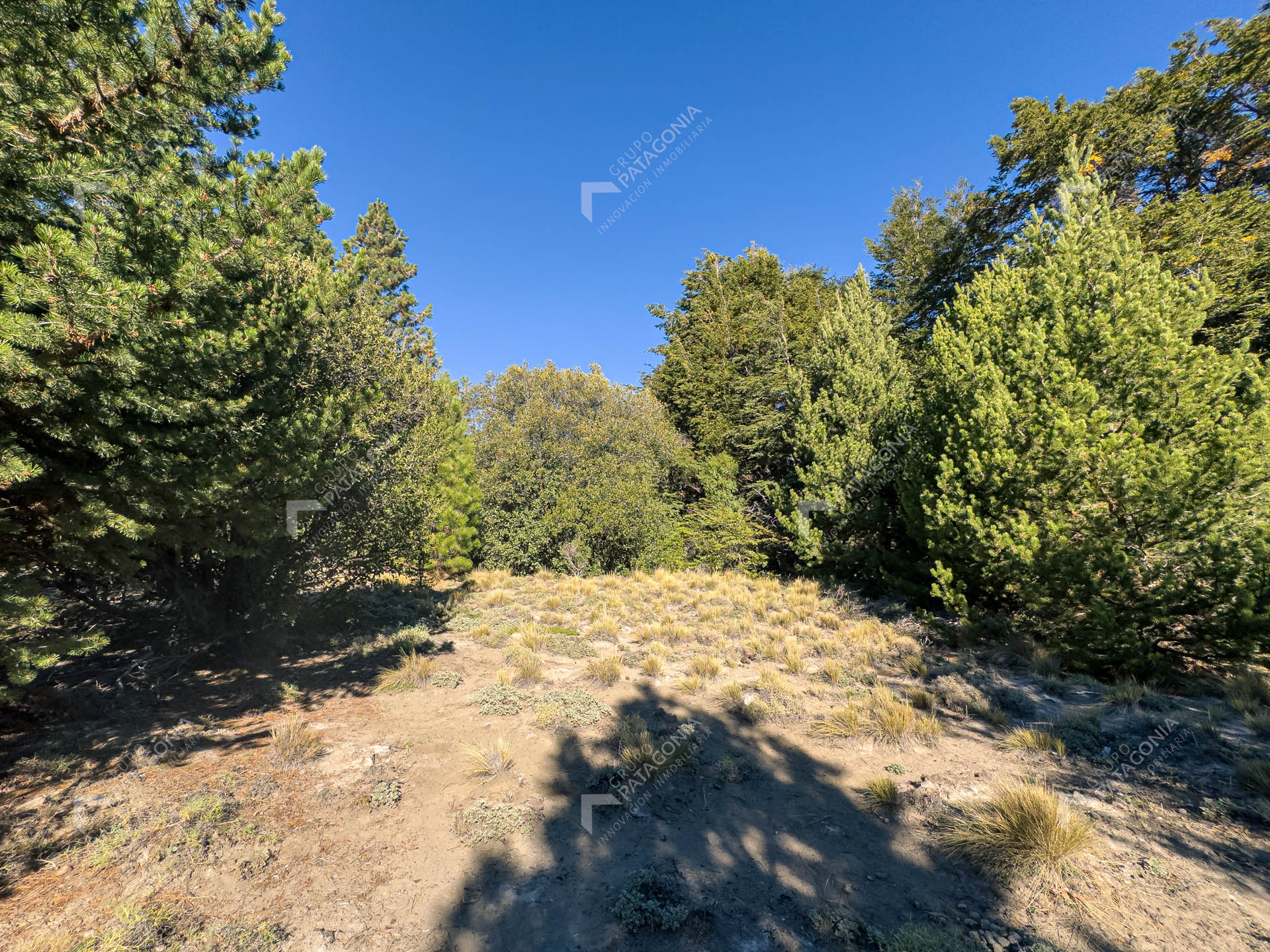 lote terreno en venta en villa lago meliquina san martin de los andes neuquen patagonia argentina