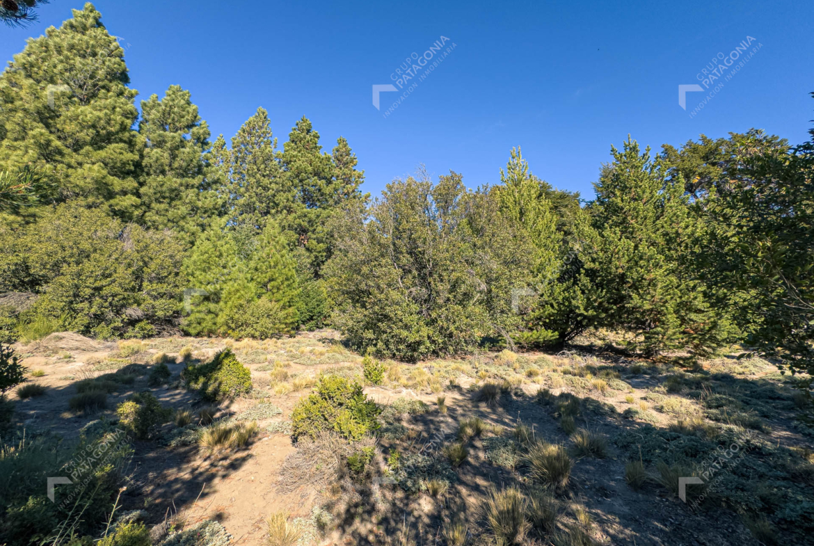 lote terreno en venta en villa lago meliquina san martin de los andes neuquen patagonia argentina