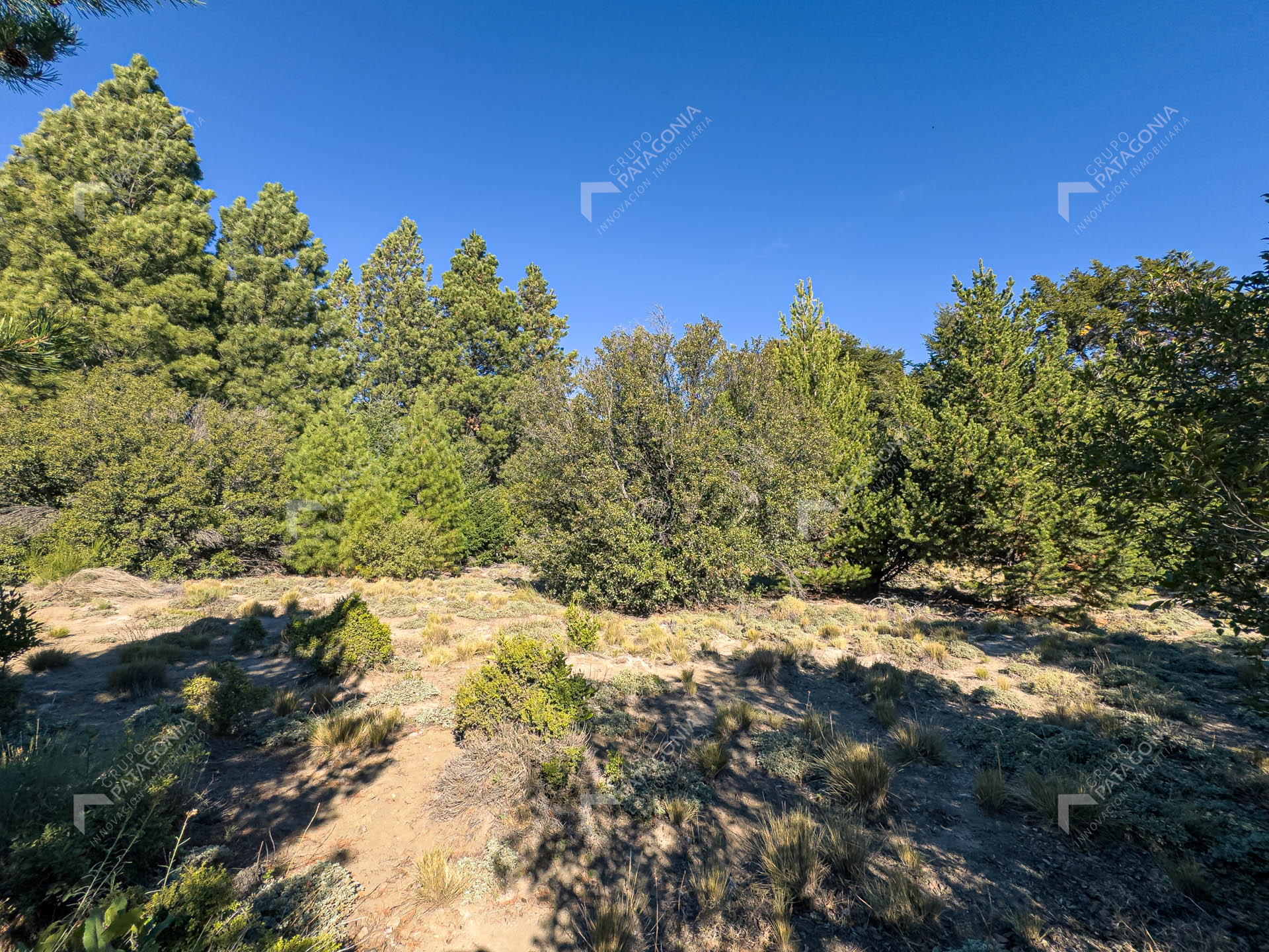 lote terreno en venta en villa lago meliquina san martin de los andes neuquen patagonia argentina