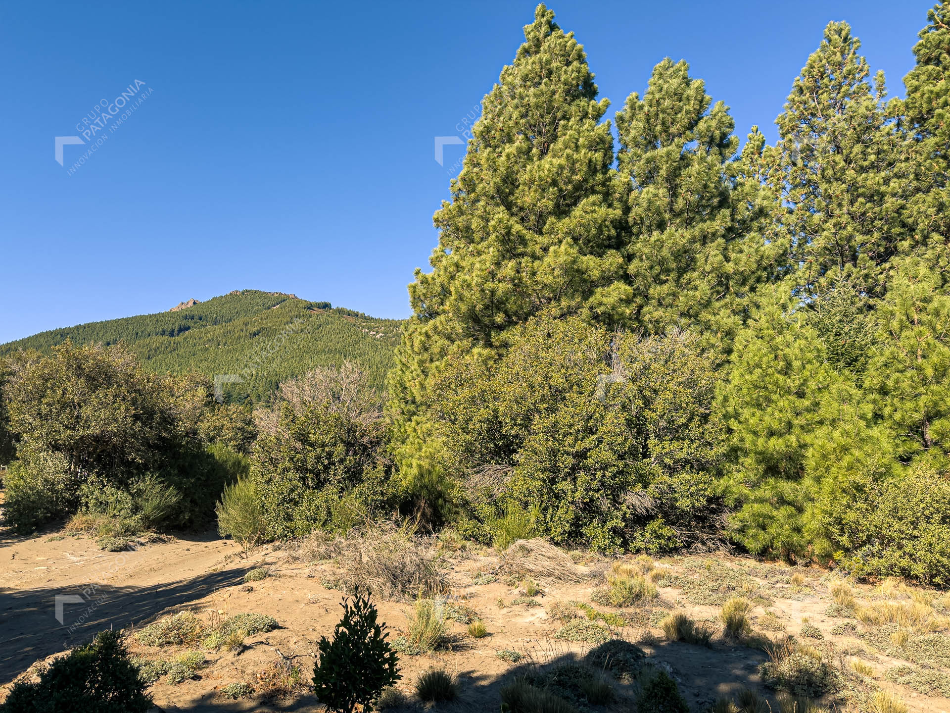 lote terreno en venta en villa lago meliquina san martin de los andes neuquen patagonia argentina