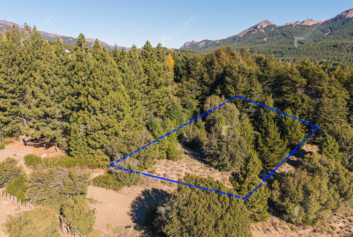 lote terreno en venta en villa lago meliquina san martin de los andes neuquen patagonia argentina