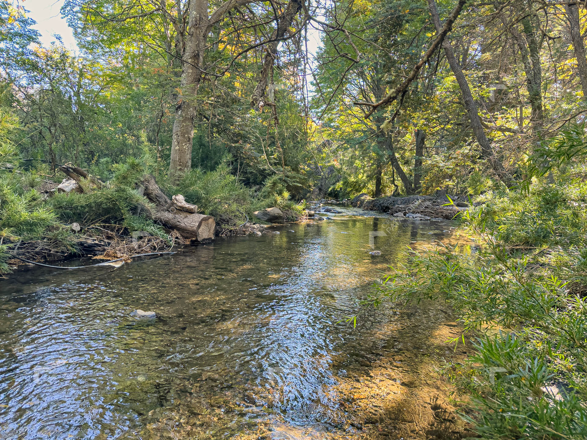 lote terreno en venta en villa lago meliquina san martin de los andes neuquen patagonia argentina