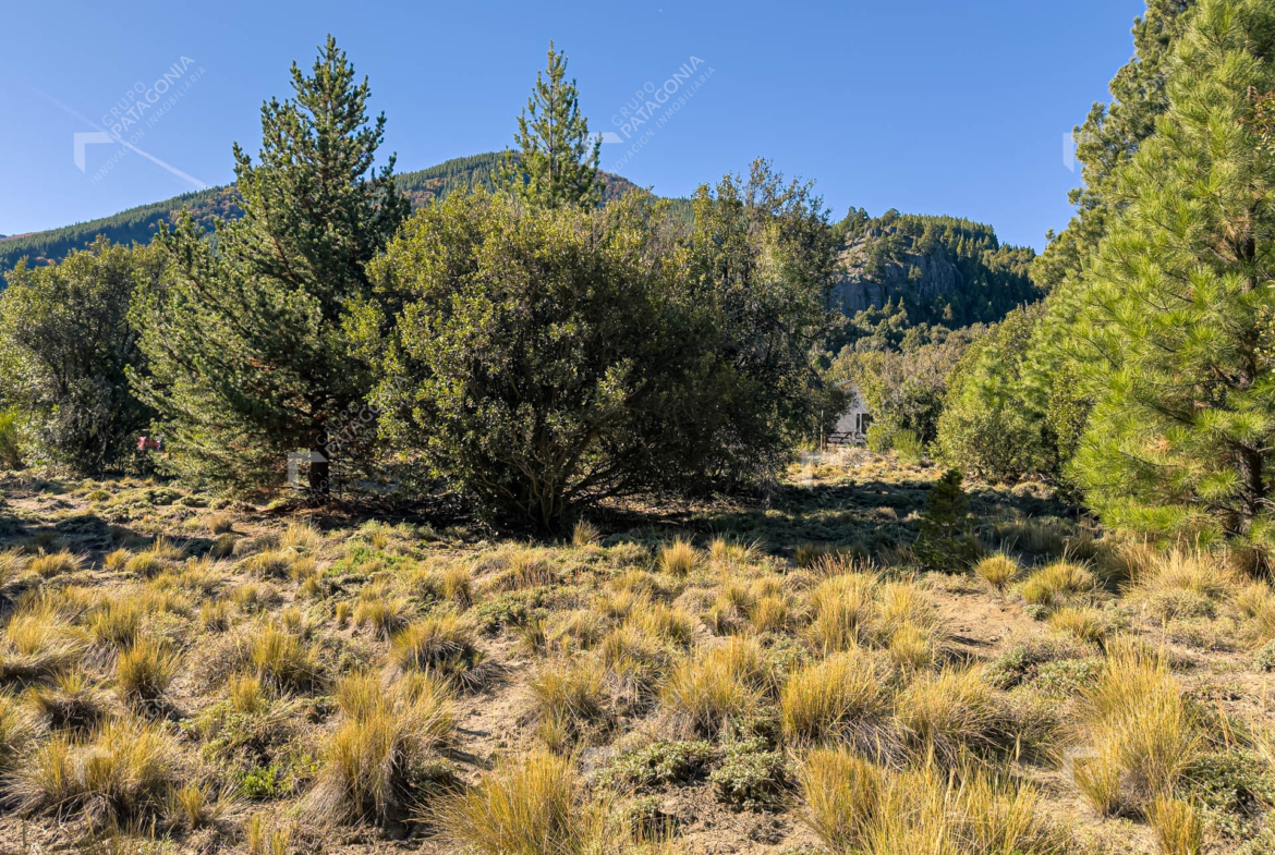 lote terreno en venta en villa lago meliquina san martin de los andes neuquen patagonia argentina